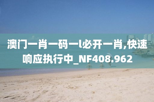 澳门一肖一码一l必开一肖,快速响应执行中_NF408.962
