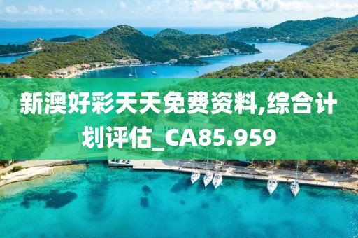 新澳好彩天天免费资料,综合计划评估_CA85.959
