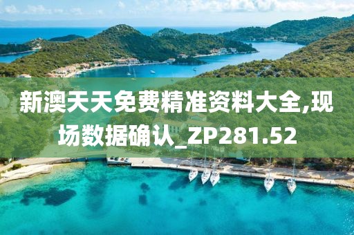 新澳天天免费精准资料大全,现场数据确认_ZP281.52
