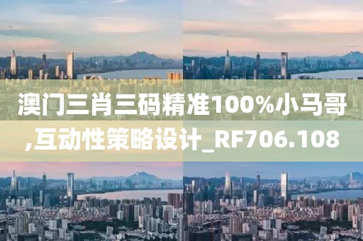 澳门三肖三码精准100%小马哥,互动性策略设计_RF706.108