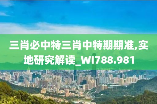 三肖必中特三肖中特期期准,实地研究解读_WI788.981