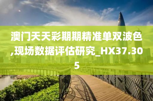 澳门天天彩期期精准单双波色,现场数据评估研究_HX37.305