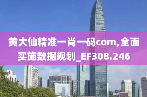 黄大仙精准一肖一码com,全面实施数据规划_EF308.246