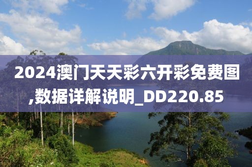 2024澳门天天彩六开彩免费图,数据详解说明_DD220.85