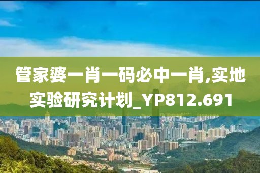 管家婆一肖一码必中一肖,实地实验研究计划_YP812.691