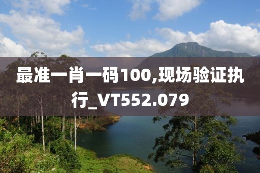 最准一肖一码100,现场验证执行_VT552.079