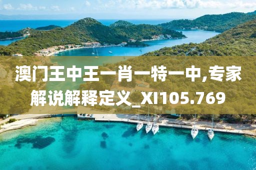 澳门王中王一肖一特一中,专家解说解释定义_XI105.769