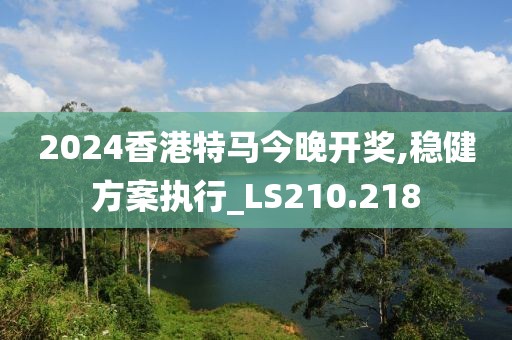 2024香港特马今晚开奖,稳健方案执行_LS210.218