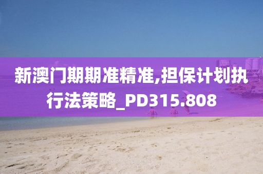 新澳门期期准精准,担保计划执行法策略_PD315.808