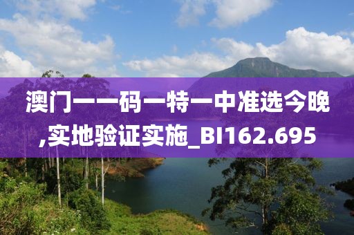 澳门一一码一特一中准选今晚,实地验证实施_BI162.695