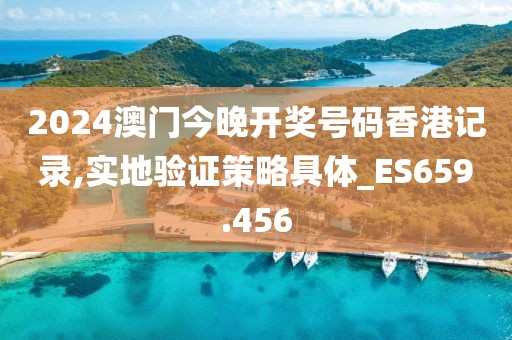 2024澳门今晚开奖号码香港记录,实地验证策略具体_ES659.456