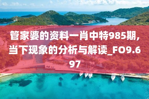 管家婆的资料一肖中特985期,当下现象的分析与解读_FO9.697