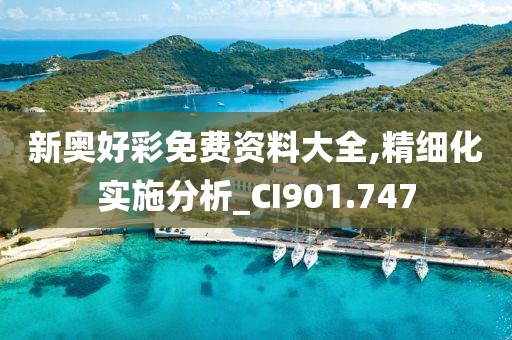 新奥好彩免费资料大全,精细化实施分析_CI901.747