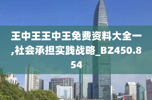 王中王王中王免费资料大全一,社会承担实践战略_BZ450.854