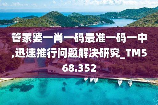 管家婆一肖一码最准一码一中,迅速推行问题解决研究_TM568.352
