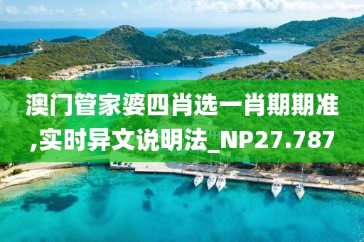 澳门管家婆四肖选一肖期期准,实时异文说明法_NP27.787