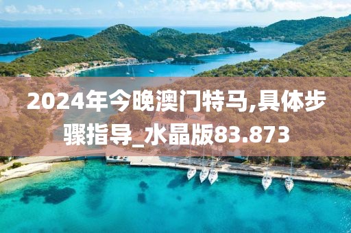 2024年今晚澳门特马,具体步骤指导_水晶版83.873