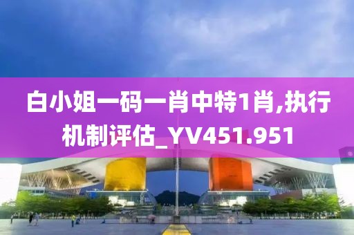 白小姐一码一肖中特1肖,执行机制评估_YV451.951