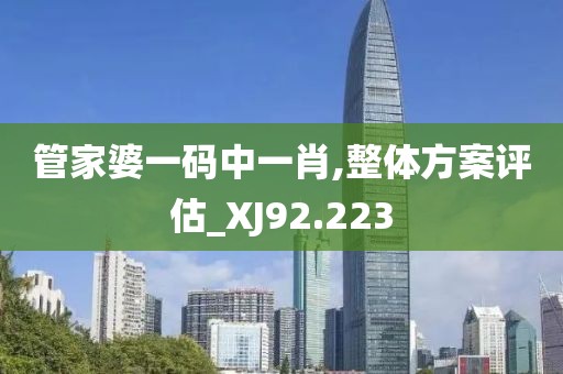 管家婆一码中一肖,整体方案评估_XJ92.223