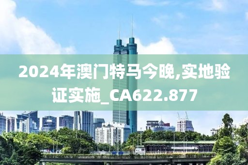 2024年澳门特马今晚,实地验证实施_CA622.877