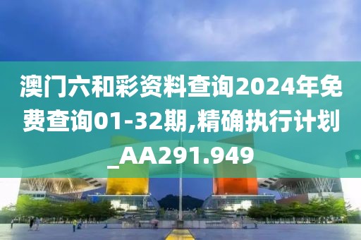 澳门六和彩资料查询2024年免费查询01-32期,精确执行计划_AA291.949
