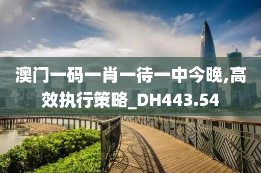 澳门一码一肖一待一中今晚,高效执行策略_DH443.54