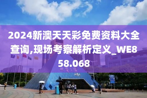 2024新澳天天彩免费资料大全查询,现场考察解析定义_WE858.068
