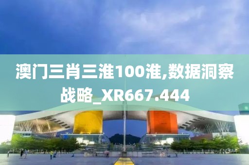 澳门三肖三淮100淮,数据洞察战略_XR667.444