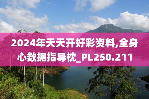 2024年天天开好彩资料,全身心数据指导枕_PL250.211
