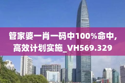 管家婆一肖一码中100%命中,高效计划实施_VH569.329