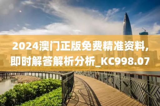 2024澳门正版免费精准资料,即时解答解析分析_KC998.07