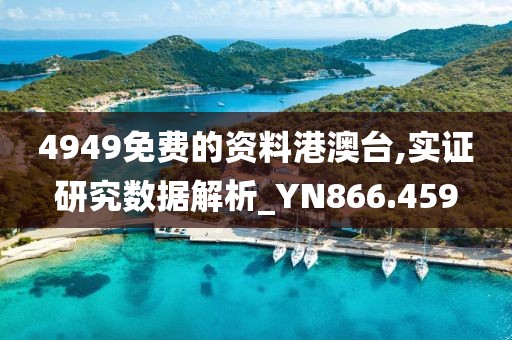 4949免费的资料港澳台,实证研究数据解析_YN866.459