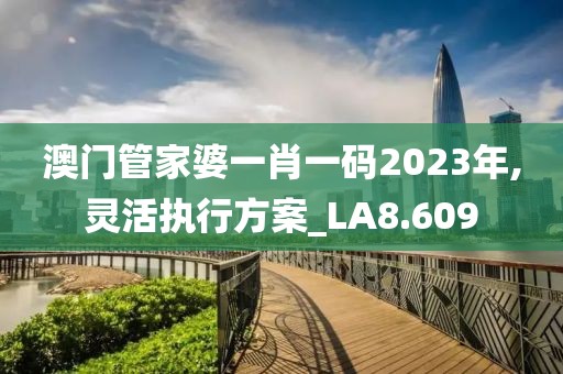 澳门管家婆一肖一码2023年,灵活执行方案_LA8.609