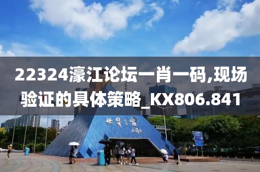22324濠江论坛一肖一码,现场验证的具体策略_KX806.841