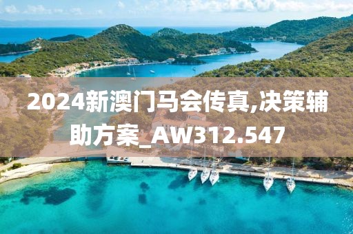 2024新澳门马会传真,决策辅助方案_AW312.547
