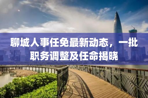聊城人事任免最新动态，一批职务调整及任命揭晓