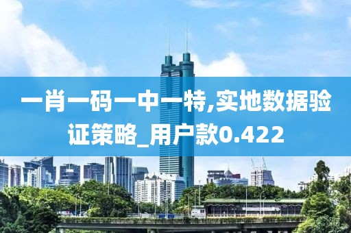 一肖一码一中一特,实地数据验证策略_用户款0.422