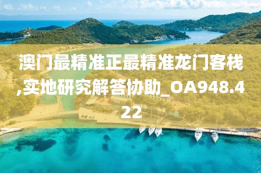 澳门最精准正最精准龙门客栈,实地研究解答协助_OA948.422