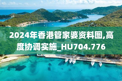 2024年香港管家婆资料图,高度协调实施_HU704.776