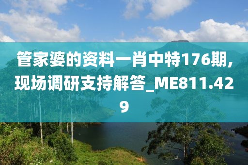 管家婆的资料一肖中特176期,现场调研支持解答_ME811.429