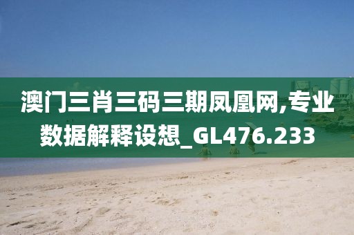 澳门三肖三码三期凤凰网,专业数据解释设想_GL476.233