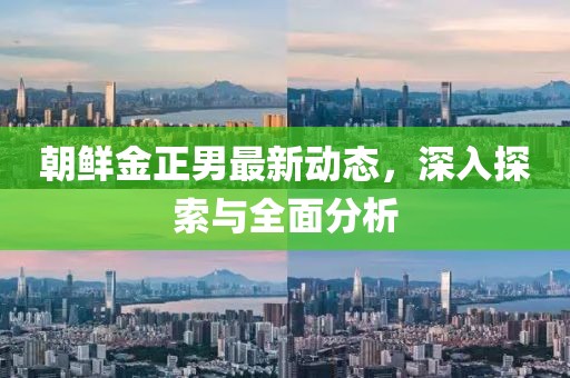 朝鲜金正男最新动态，深入探索与全面分析