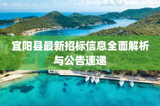 宜阳县最新招标信息全面解析与公告速递