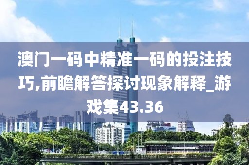 澳门一码中精准一码的投注技巧,前瞻解答探讨现象解释_游戏集43.36
