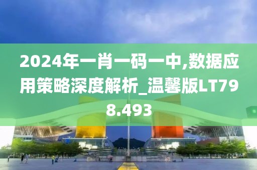 2024年一肖一码一中,数据应用策略深度解析_温馨版LT798.493