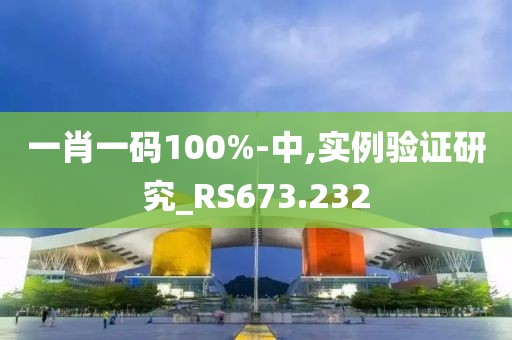 一肖一码100%-中,实例验证研究_RS673.232