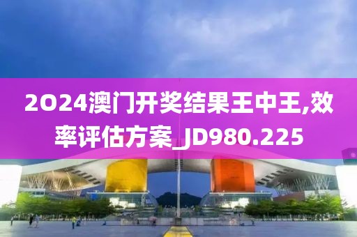 2O24澳门开奖结果王中王,效率评估方案_JD980.225