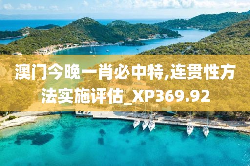 澳门今晚一肖必中特,连贯性方法实施评估_XP369.92