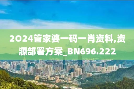 2O24管家婆一码一肖资料,资源部署方案_BN696.222