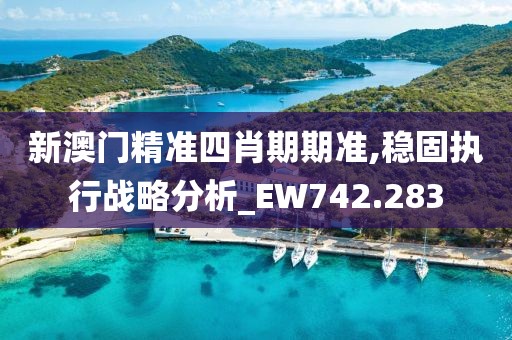 新澳门精准四肖期期准,稳固执行战略分析_EW742.283
